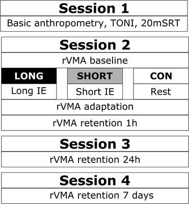 Enhancing Children’s Motor Memory Retention Through Acute Intense Exercise: Effects of Different Exercise Durations